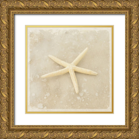 Gypsy Sea Brown 3 Gold Ornate Wood Framed Art Print with Double Matting by LightBoxJournal