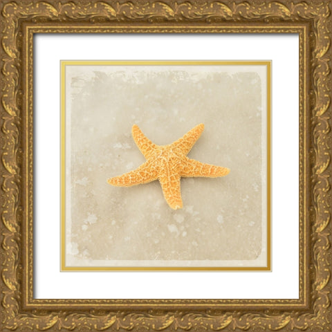 Gypsy Sea Brown 4 Gold Ornate Wood Framed Art Print with Double Matting by LightBoxJournal