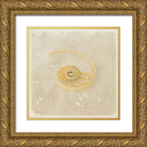 Gypsy Sea Brown 5 Gold Ornate Wood Framed Art Print with Double Matting by LightBoxJournal