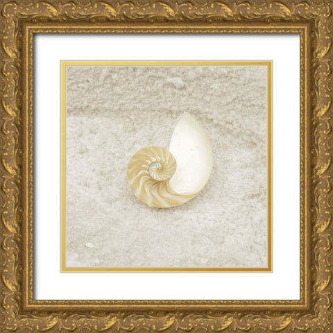 Gypsy Sea Life 1 Gold Ornate Wood Framed Art Print with Double Matting by LightBoxJournal