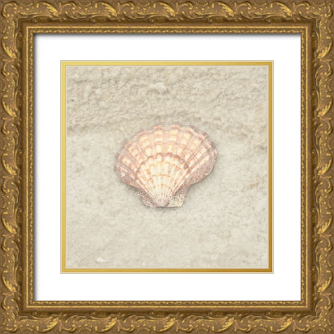 Gypsy Sea Life 4 Gold Ornate Wood Framed Art Print with Double Matting by LightBoxJournal