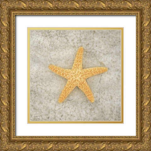 Gypsy Sea Life V2 Gold Ornate Wood Framed Art Print with Double Matting by LightBoxJournal
