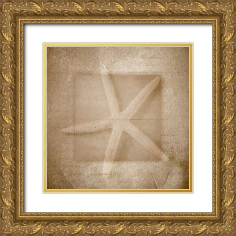 Sea Life 1 Gold Ornate Wood Framed Art Print with Double Matting by LightBoxJournal