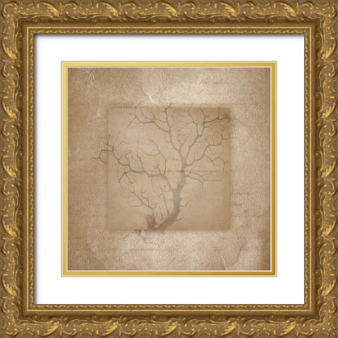 Sea Life 3 Gold Ornate Wood Framed Art Print with Double Matting by LightBoxJournal