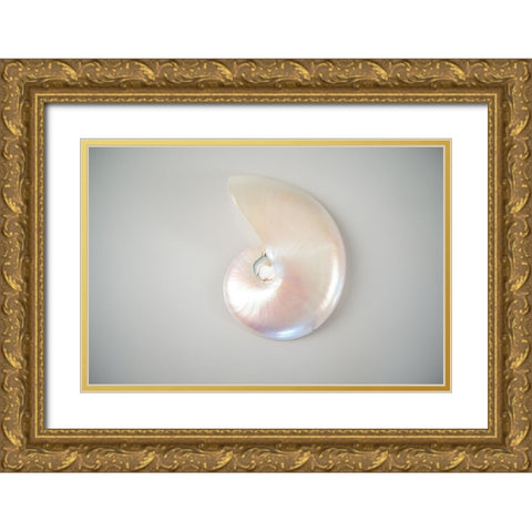 Sea Star 3 Gold Ornate Wood Framed Art Print with Double Matting by LightBoxJournal