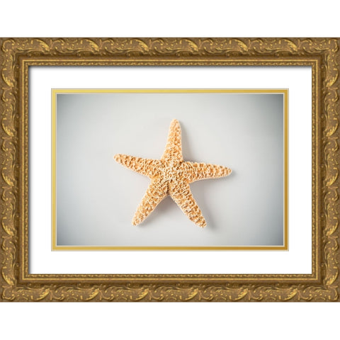 Sea Star 4 Gold Ornate Wood Framed Art Print with Double Matting by LightBoxJournal