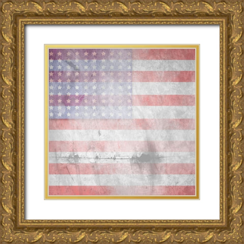 American Born Free Sign Collection V7 Gold Ornate Wood Framed Art Print with Double Matting by LightBoxJournal