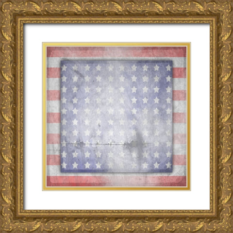 American Born Free Sign Collection V14 Gold Ornate Wood Framed Art Print with Double Matting by LightBoxJournal