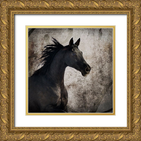 GypsyHorse Collection V1 4 Gold Ornate Wood Framed Art Print with Double Matting by LightBoxJournal