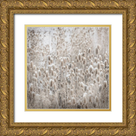 MyFarmMyWayPhotos 2 Gold Ornate Wood Framed Art Print with Double Matting by LightBoxJournal