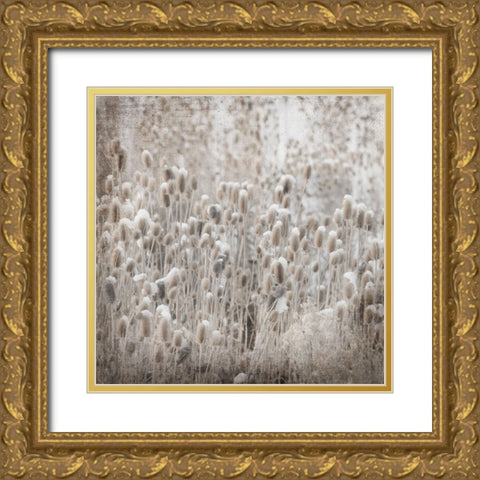 MyFarmMyWayPhotos 3 Gold Ornate Wood Framed Art Print with Double Matting by LightBoxJournal