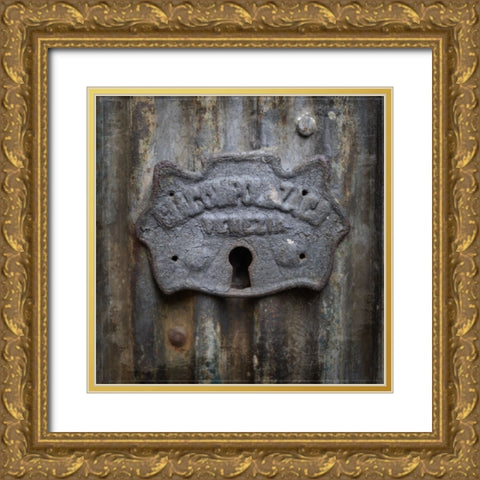 MyFarmMyWayPhotos 6 Gold Ornate Wood Framed Art Print with Double Matting by LightBoxJournal