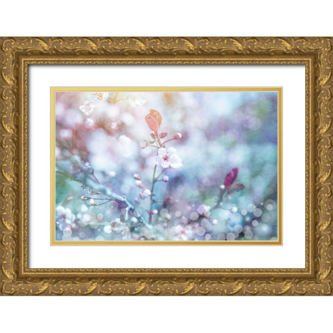 Cherry Blu 01 Gold Ornate Wood Framed Art Print with Double Matting by LightBoxJournal