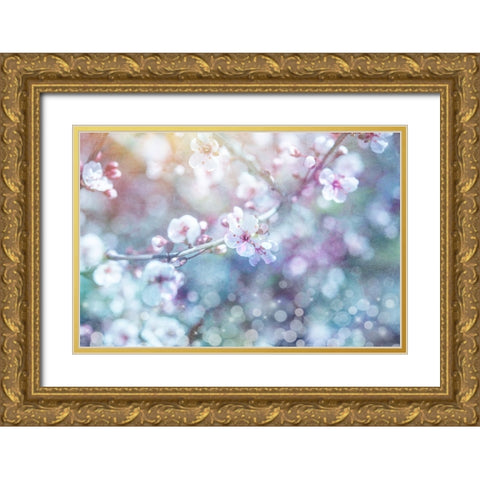 Cherry Blu 05 Gold Ornate Wood Framed Art Print with Double Matting by LightBoxJournal
