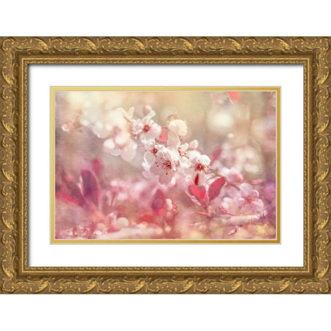 Gypsy Cherry 02 Gold Ornate Wood Framed Art Print with Double Matting by LightBoxJournal