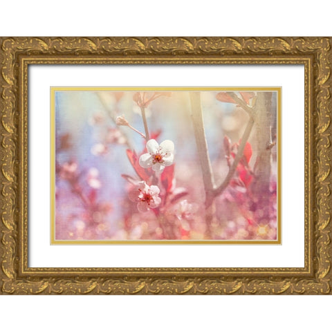 Gypsy Cherry 03 Gold Ornate Wood Framed Art Print with Double Matting by LightBoxJournal