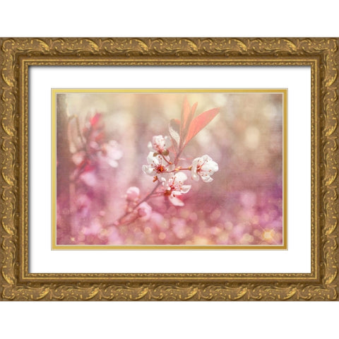 Gypsy Cherry 04 Gold Ornate Wood Framed Art Print with Double Matting by LightBoxJournal