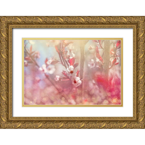Gypsy Cherry 05 Gold Ornate Wood Framed Art Print with Double Matting by LightBoxJournal