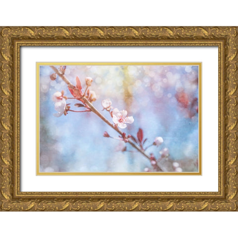 Spring Blooms 01 Gold Ornate Wood Framed Art Print with Double Matting by LightBoxJournal