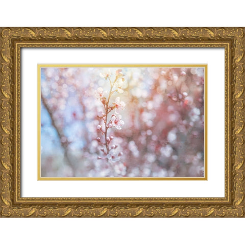 Spring Blooms 02 Gold Ornate Wood Framed Art Print with Double Matting by LightBoxJournal