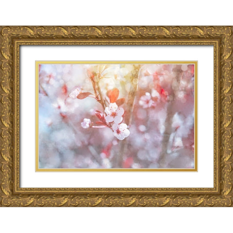 Spring Blooms 03 Gold Ornate Wood Framed Art Print with Double Matting by LightBoxJournal