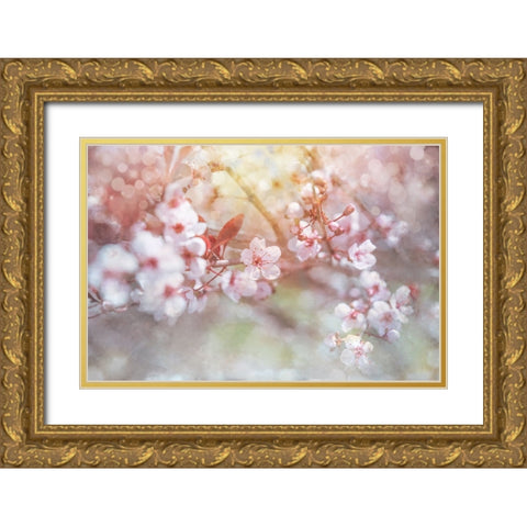 Spring Blooms 04 Gold Ornate Wood Framed Art Print with Double Matting by LightBoxJournal