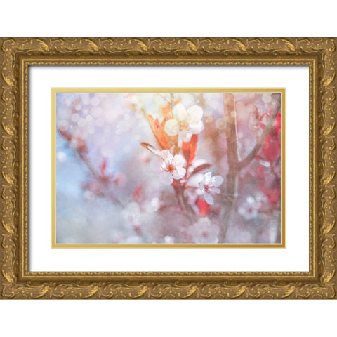 Spring Blooms 05 Gold Ornate Wood Framed Art Print with Double Matting by LightBoxJournal