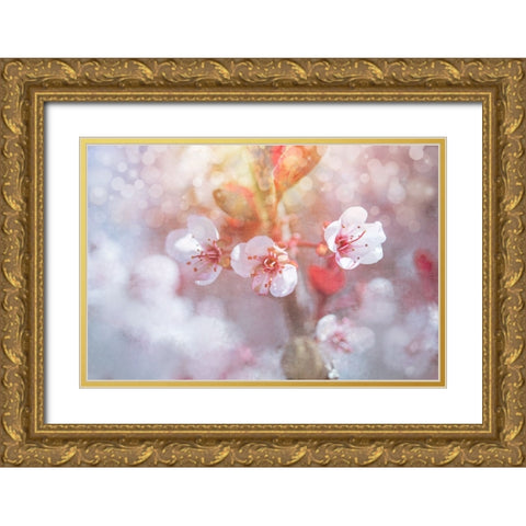 Spring Blooms 06 Gold Ornate Wood Framed Art Print with Double Matting by LightBoxJournal
