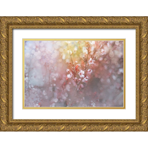 Spring Blooms 07 Gold Ornate Wood Framed Art Print with Double Matting by LightBoxJournal