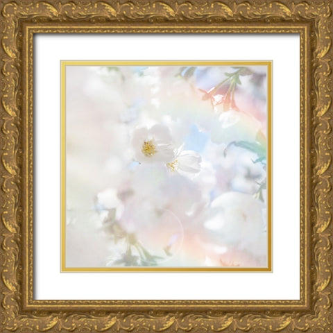 Apple Blossoms 03 Gold Ornate Wood Framed Art Print with Double Matting by LightBoxJournal