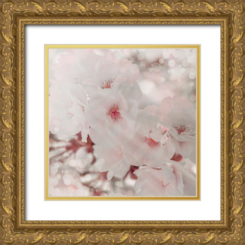 Pinky Blossom 1 Gold Ornate Wood Framed Art Print with Double Matting by LightBoxJournal