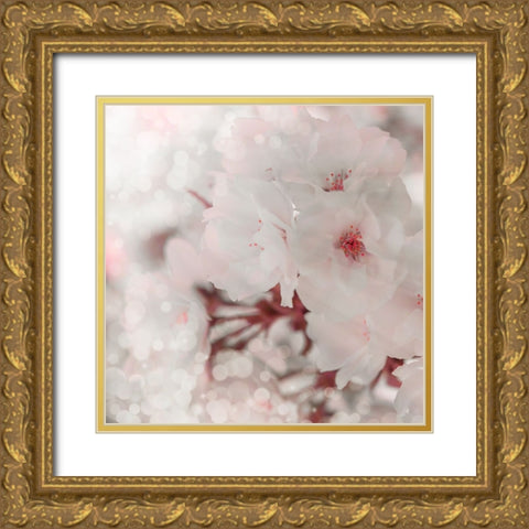 Pinky Blossom 2 Gold Ornate Wood Framed Art Print with Double Matting by LightBoxJournal