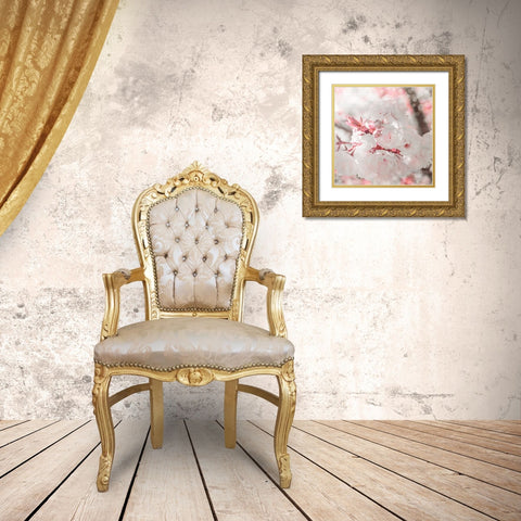 Pinky Blossom 3 Gold Ornate Wood Framed Art Print with Double Matting by LightBoxJournal