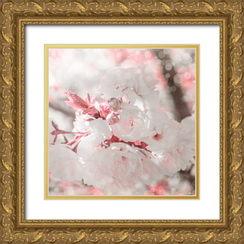 Pinky Blossom 3 Gold Ornate Wood Framed Art Print with Double Matting by LightBoxJournal