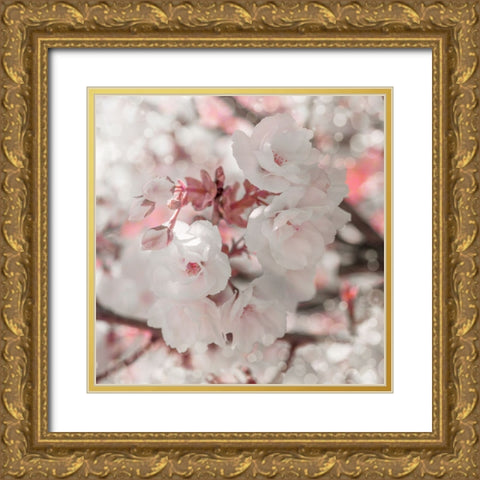 Pinky Blossom 4 Gold Ornate Wood Framed Art Print with Double Matting by LightBoxJournal