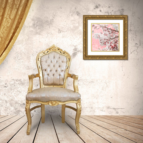 Pinky Blossom 5 Gold Ornate Wood Framed Art Print with Double Matting by LightBoxJournal