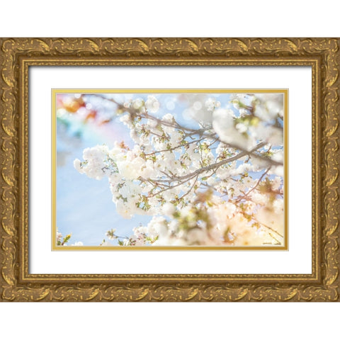 White Spring Blossoms 04 Gold Ornate Wood Framed Art Print with Double Matting by LightBoxJournal
