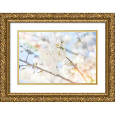 White Spring Blossoms 05 Gold Ornate Wood Framed Art Print with Double Matting by LightBoxJournal