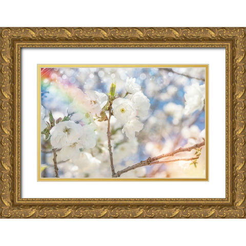 White Spring Blossoms 07 Gold Ornate Wood Framed Art Print with Double Matting by LightBoxJournal