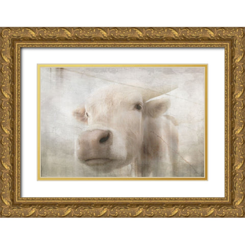 Antique Farm 18 Gold Ornate Wood Framed Art Print with Double Matting by LightBoxJournal
