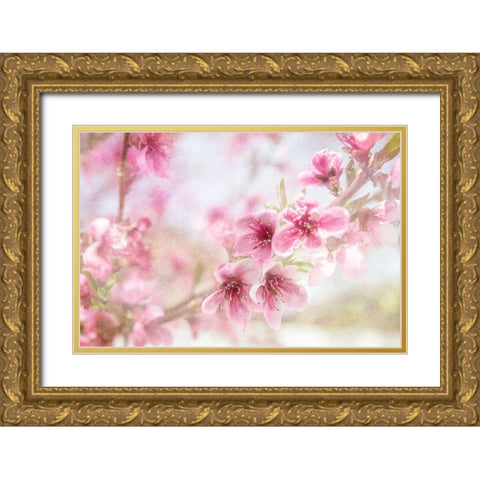 Cherry Pops 01 Gold Ornate Wood Framed Art Print with Double Matting by LightBoxJournal