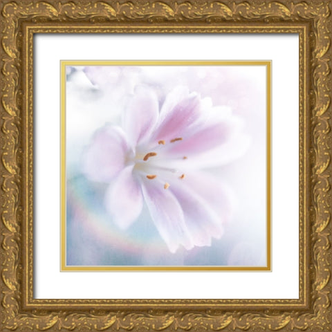 Mystical Gypsy Flower 02 Gold Ornate Wood Framed Art Print with Double Matting by LightBoxJournal