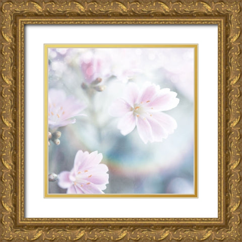 Mystical Gypsy Flower 04 Gold Ornate Wood Framed Art Print with Double Matting by LightBoxJournal