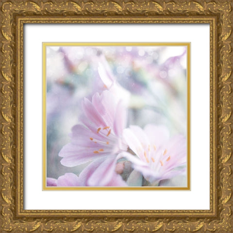 Mystical Gypsy Flower 05 Gold Ornate Wood Framed Art Print with Double Matting by LightBoxJournal
