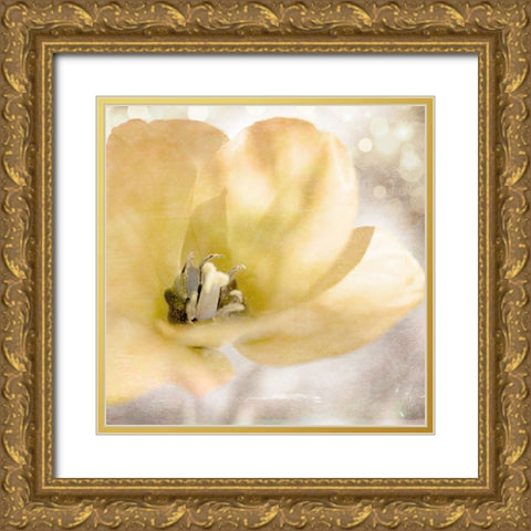 Yellow Tulip 01 Gold Ornate Wood Framed Art Print with Double Matting by LightBoxJournal