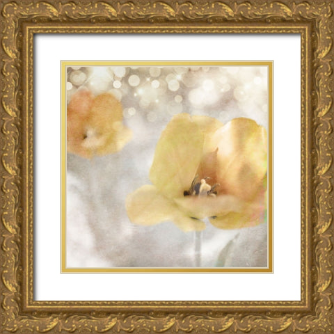 Yellow Tulip 02 Gold Ornate Wood Framed Art Print with Double Matting by LightBoxJournal