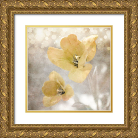 Yellow Tulip 03 Gold Ornate Wood Framed Art Print with Double Matting by LightBoxJournal