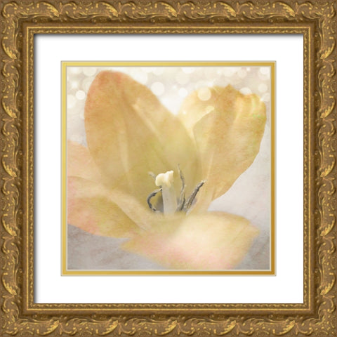 Yellow Tulip 04 Gold Ornate Wood Framed Art Print with Double Matting by LightBoxJournal