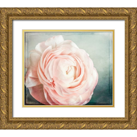 Peony 04 Gold Ornate Wood Framed Art Print with Double Matting by LightBoxJournal