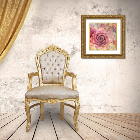 Succulents 02 Gold Ornate Wood Framed Art Print with Double Matting by LightBoxJournal